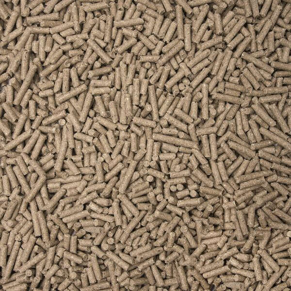 Höveler terabb-Basis